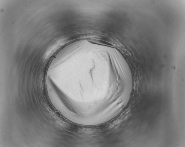 X0000088090341200706011609