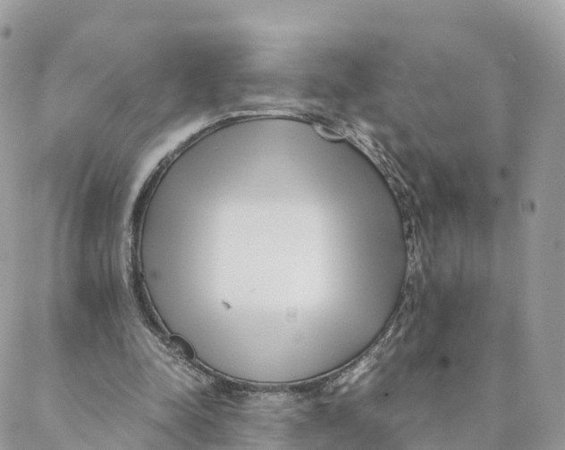 X0000088090342200706011609