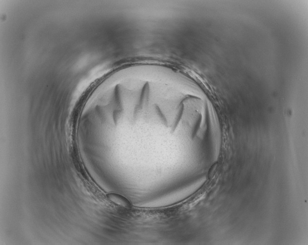 X0000088090343200706011609