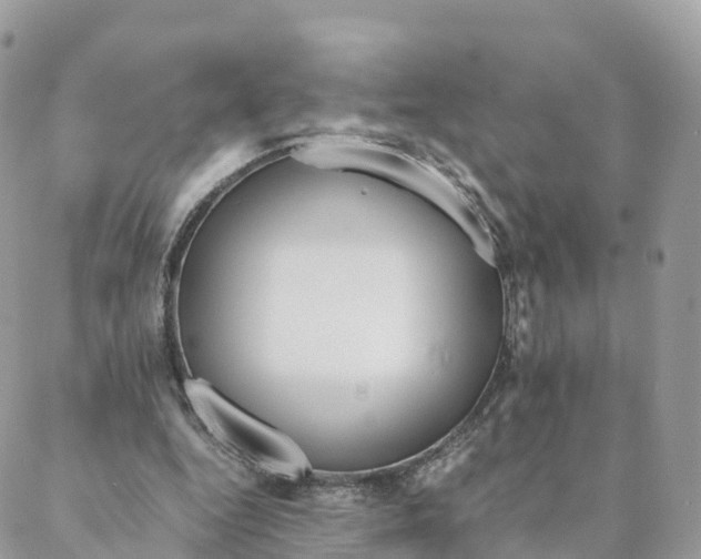 X0000088090344200706011609