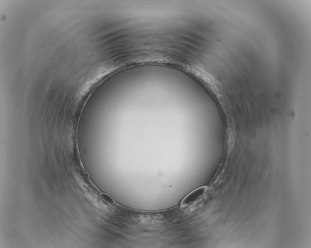 X0000088090345200706011609