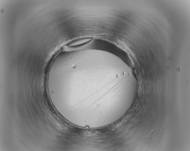 X0000088090346200706011609