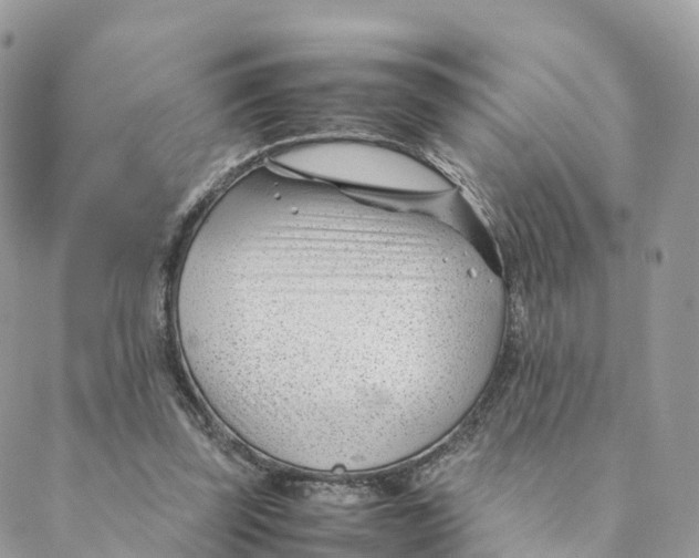 X0000088090347200706011609