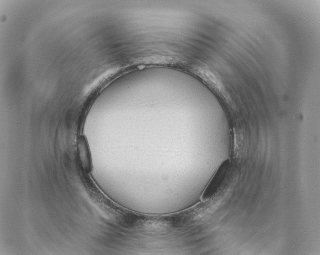 X0000088090348200706011609