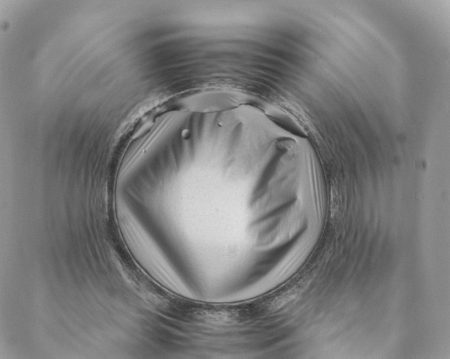 X0000088090349200706011609