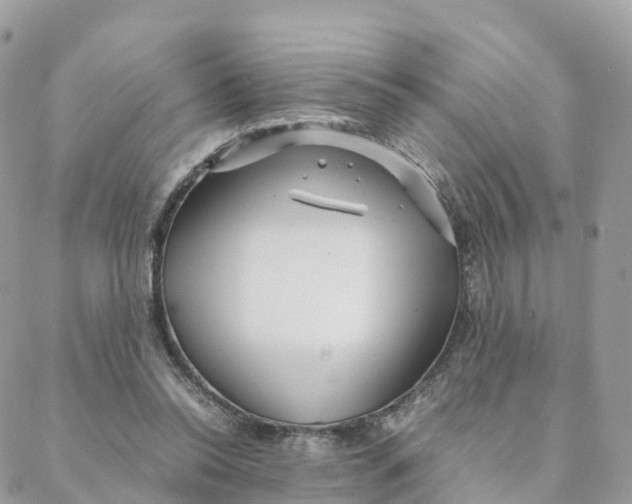 X0000088090350200706011609