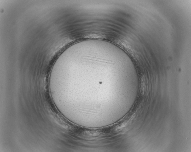 X0000088090351200706011609