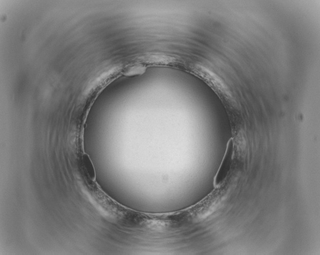 X0000088090352200706011609