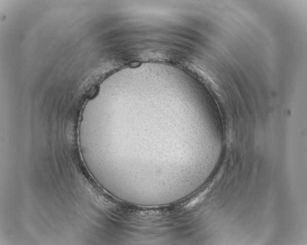 X0000088090353200706011609