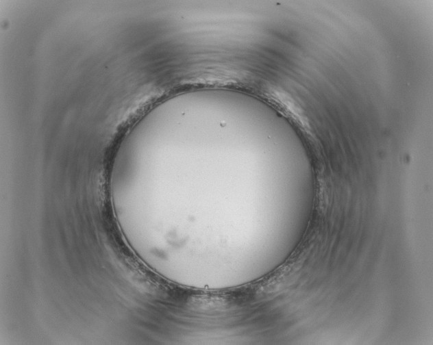 X0000088090354200706011609