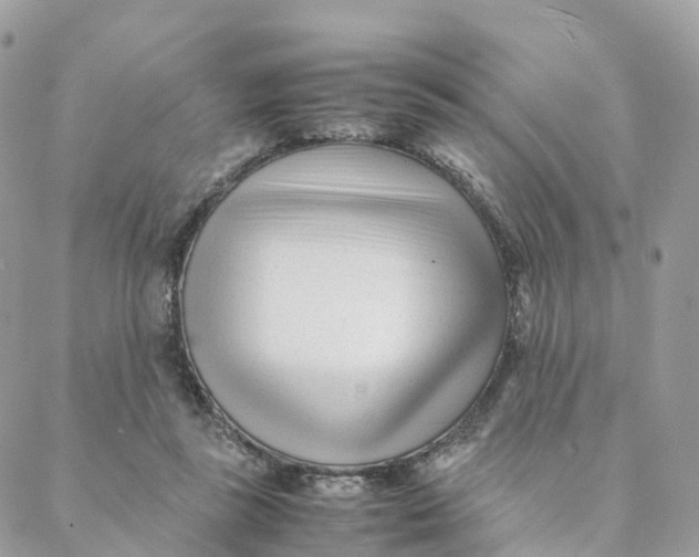 X0000088090355200706011609