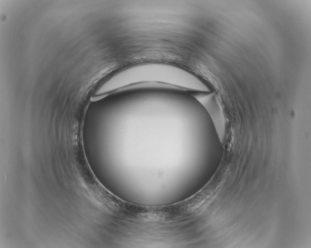 X0000088090356200706011609