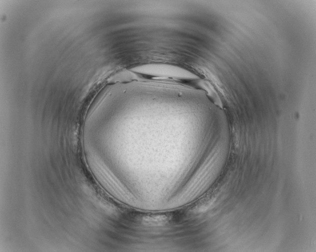 X0000088090357200706011609