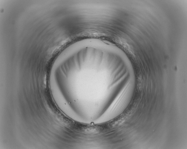 X0000088090358200706011609