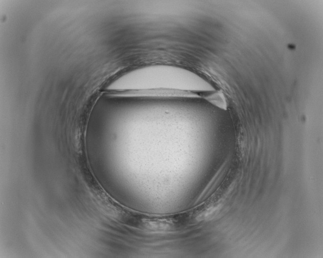 X0000088090359200706011609