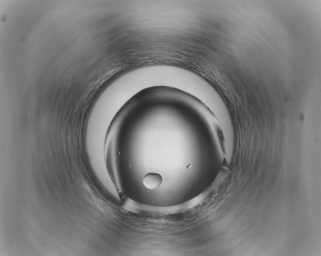 X0000088090360200706011609