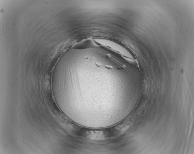 X0000088090361200706011609