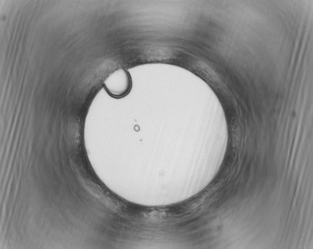 X0000088090362200706011610