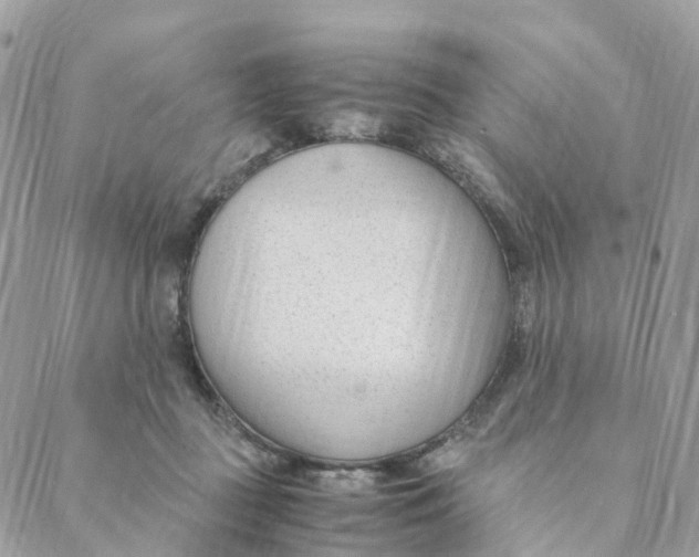 X0000088090363200706011610