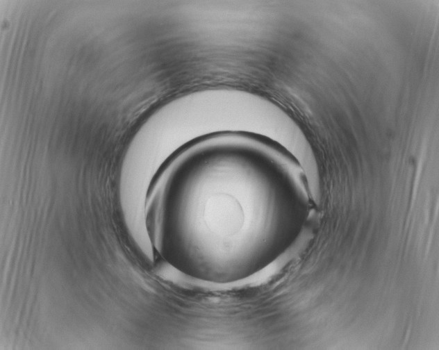 X0000088090364200706011610