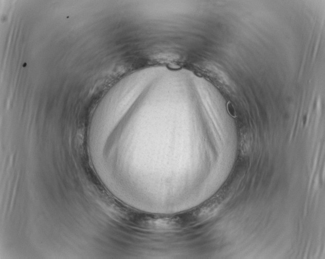 X0000088090365200706011610