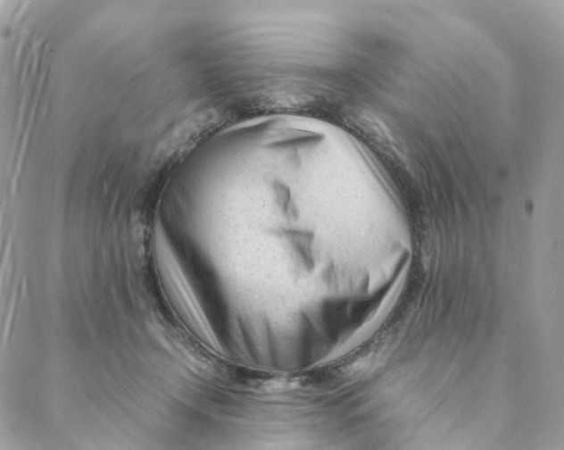 X0000088090366200706011610