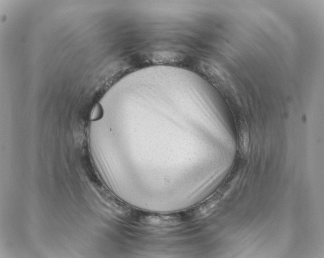 X0000088090367200706011610