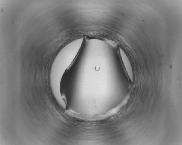 X0000088090368200706011610