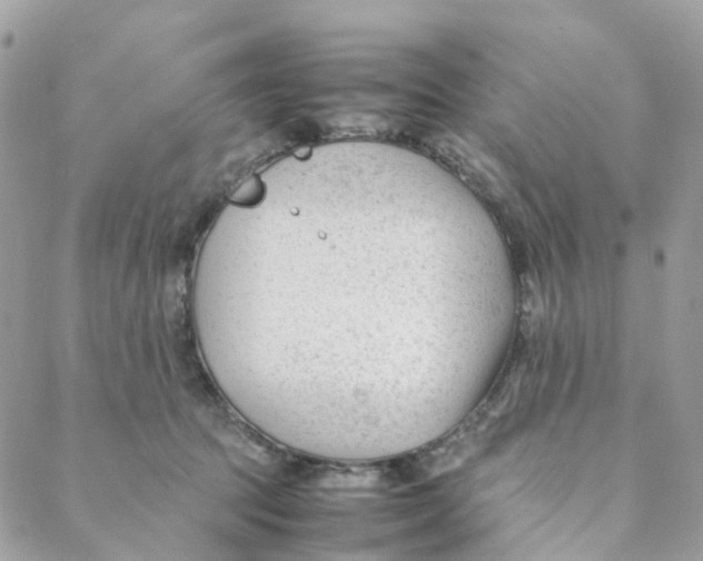 X0000088090369200706011610