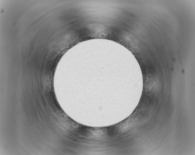 X0000088090370200706011610