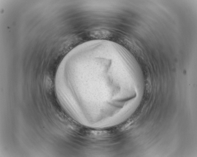 X0000088090371200706011610