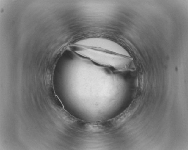 X0000088090372200706011610