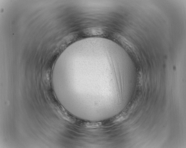 X0000088090373200706011610