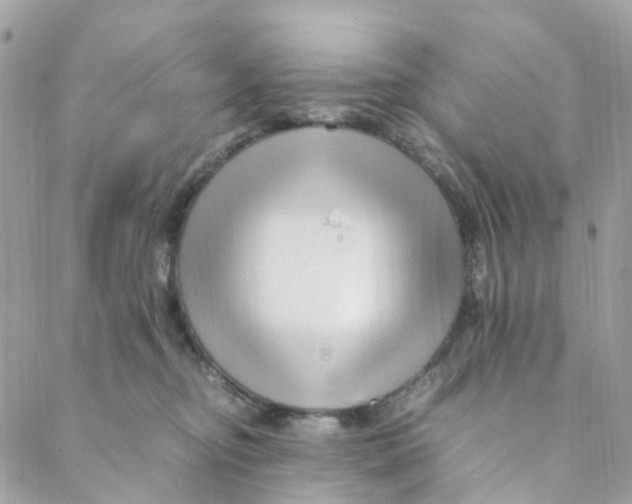 X0000088090374200706011610