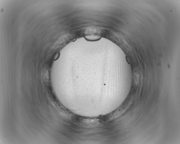 X0000088090375200706011610