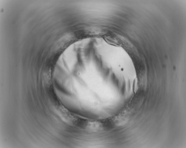 X0000088090376200706011610