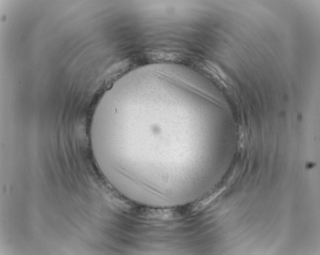 X0000088090377200706011610