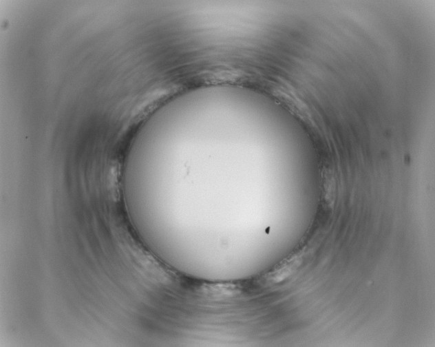 X0000088090378200706011610