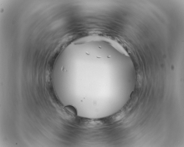 X0000088090379200706011610