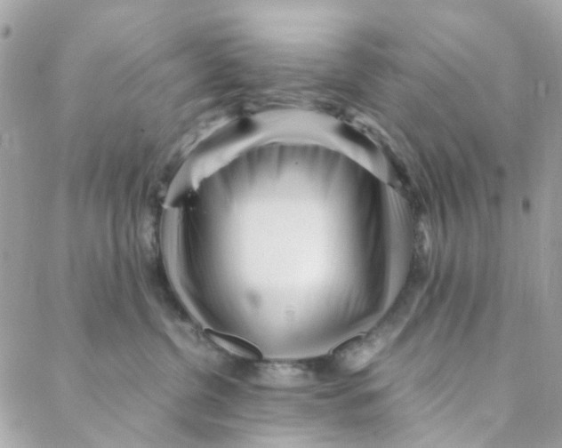 X0000088090380200706011610