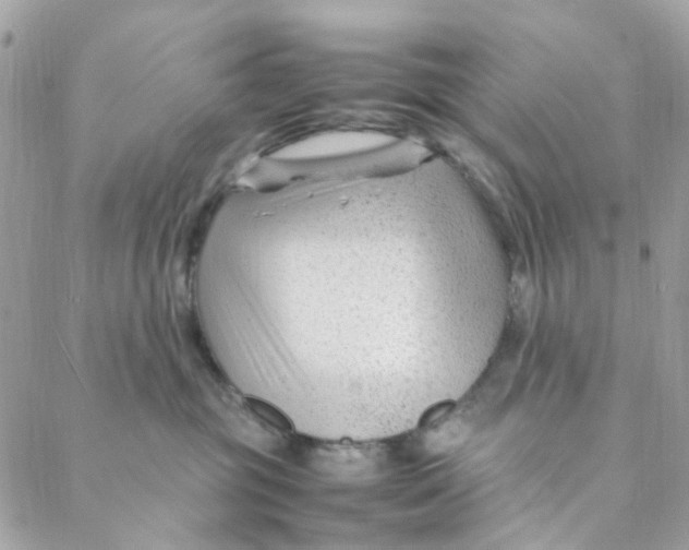 X0000088090381200706011610