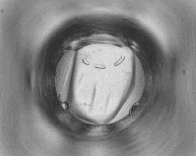 X0000088090382200706011610