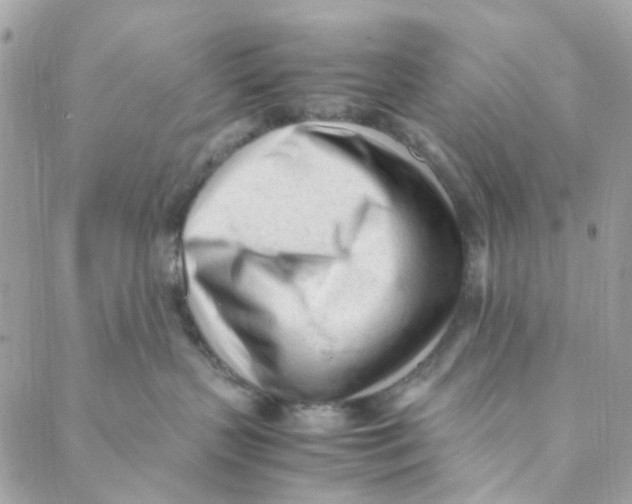 X0000088090383200706011610