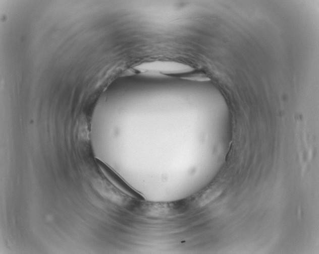 X0000088090384200706011610