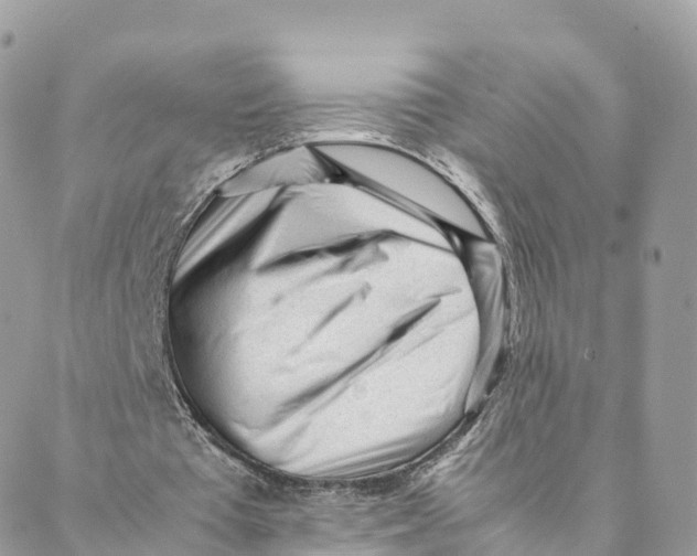 X0000088090385200706011609