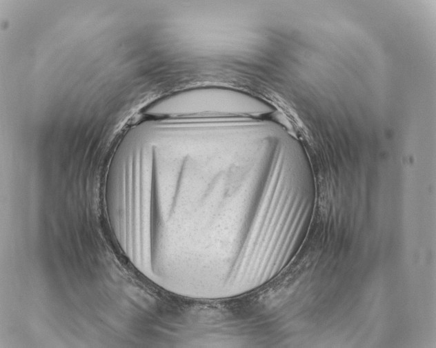 X0000088090386200706011609