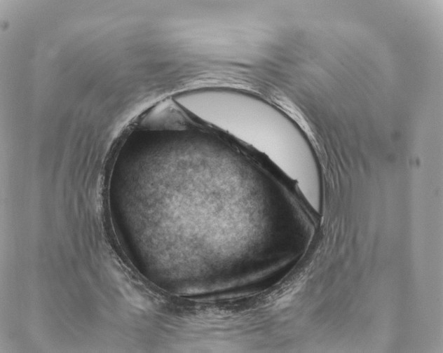 X0000088090387200706011609