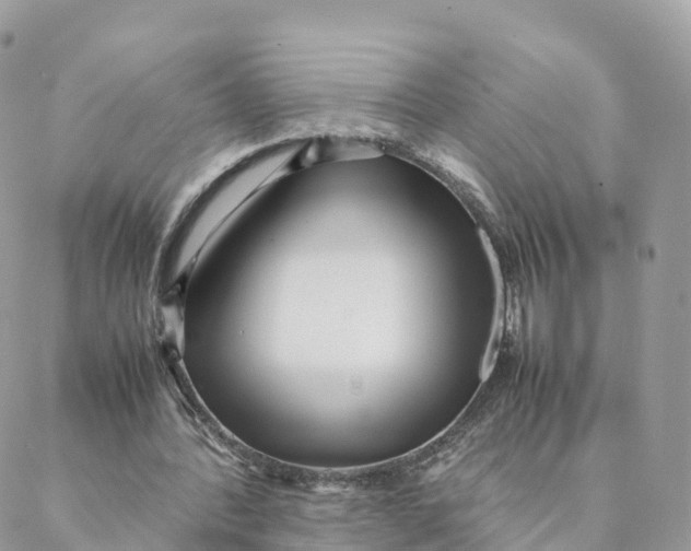 X0000088090388200706011609