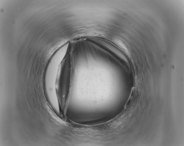 X0000088090389200706011609