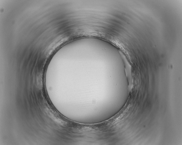 X0000088090390200706011609